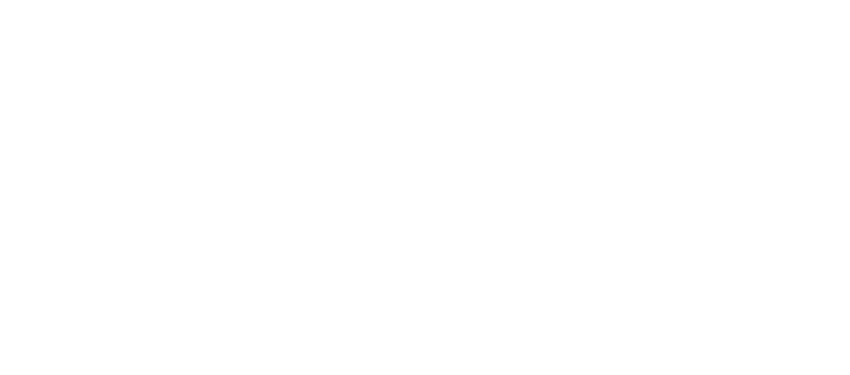Chargeurs company's