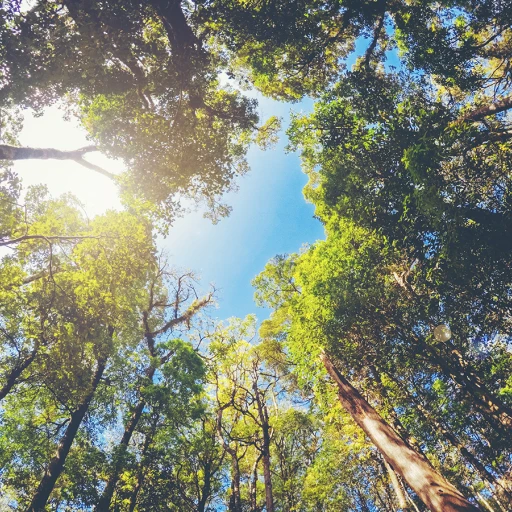 **OXYGEN**, ein neues umweltfreundliches Sortiment von Verarbeitungs- und Schutzfilmen