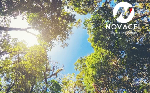 Novacel OXYGEN Vegetal à nouveau certifiée ISCC PLUS  !