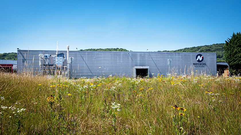 OXYGEN, more eco-responsible films
