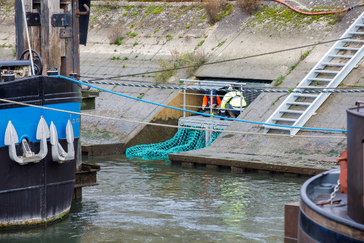 Filets anti-pollution sur la Seine